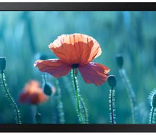 Samsung QB13R-M Smart Signage Display 33,7 cm 13,27 Zoll