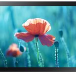 Samsung QB13R-TM Smart Signage Touch Display 33,7 cm 13,27 Zoll