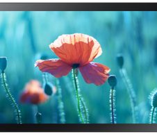 Samsung QB13R-TM Smart Signage Touch Display 33,7 cm 13,27 Zoll