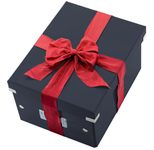 LEITZ Click & Store Aufbewahrungsbox 16,7 l - schwarz