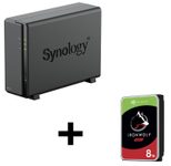 Synology DiskStation DS124 1 Einschub NAS-Server Leergehäuse + 1x Seagate Ironwolf SATA 3.5" HDD 8TB Festplatte