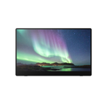 Ricoh 150BW mobiler Multi-Touch Monitor 39,60cm (15,6")