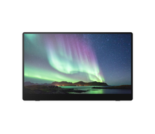 Ricoh 150BW mobiler Multi-Touch Monitor 39,60cm (15,6")