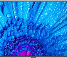 NEC MultiSync M981 Digital Signage Display 248,9cm 98 Zoll