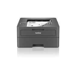 Brother HL-L2400DW Laserdrucker s/w