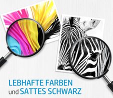 HP Druckkopf-Austauschsset für HP DesignJet T850, T870, T950 (498N0A)