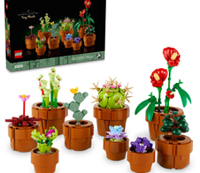 LEGO® Botanicals 10329 Mini Pflanzen