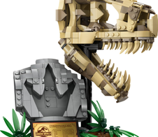 LEGO® Jurassic World 76964 Dinosaurier-Fossilien: T.-Rex Schädel