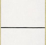 LEITZ Ordneretiketten 1643 grau 192 x 39 mm - 10 Etiketten