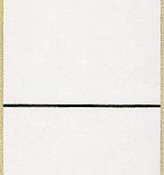 LEITZ Ordneretiketten 1643 grau 192 x 39 mm - 10 Etiketten