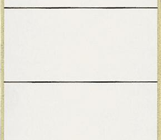 LEITZ Rückenschilder für Standard- und Hartpappe-Ordner - grau