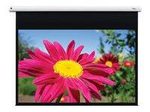 Optoma DE-1123EGA motorisierte Leinwand Wand-/Deckenmontage, 16:10, (123") 312 cm