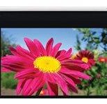 Optoma DE-1123EGA motorisierte Leinwand Wand-/Deckenmontage, 16:10, (123") 312 cm