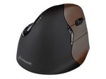 Evoluent VerticalMouse 4 Right Small - Maus - Für Rechtshänder - optisch - 6 Tasten - kabellos - USB