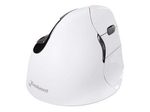Evoluent VerticalMouse 4 Right Mac - Maus - ergonomisch - Für Rechtshänder - optisch - 6 Tasten - Bluetooth - Weiß