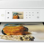 Epson Expression Premium XP-625 weiss Tintenstrahl-Multifunktionsgerät