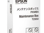 Epson Original Resttintenbehälter für WF-100W (C13T295000)