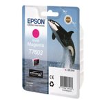 Epson Original T7603 Tintepatrone Vivid Magenta 25,9ml (C13T76034010)