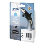 Epson Original T7605 Druckerpatrone Light Cyan 25,9ml (C13T76054010)
