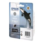 Epson Original T7607 Druckerpatrone Light Black 25,9ml (C13T76074010)