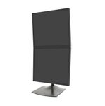 Ergotron DS100 Dual-Monitor Tischstandfuß für zwei Monitore vertikal bis 61 cm 24 Zoll schwarz