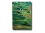 Epson Premium - Seidenmattfotopapier - A3 (297 x 420 mm) - 251 g/m2 - 20 Blatt - für Stylus Pro 11880, Pro 3880, Pro 48X