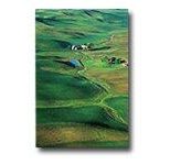 Epson Premium - Seidenmattfotopapier - A3 (297 x 420 mm) - 251 g/m2 - 20 Blatt - für Stylus Pro 11880, Pro 3880, Pro 48X