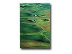 Epson Premium - Seidenmattfotopapier - A3 (297 x 420 mm) - 251 g/m2 - 20 Blatt - für Stylus Pro 11880, Pro 3880, Pro 48X