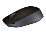 Logitech M170 Optical Maus