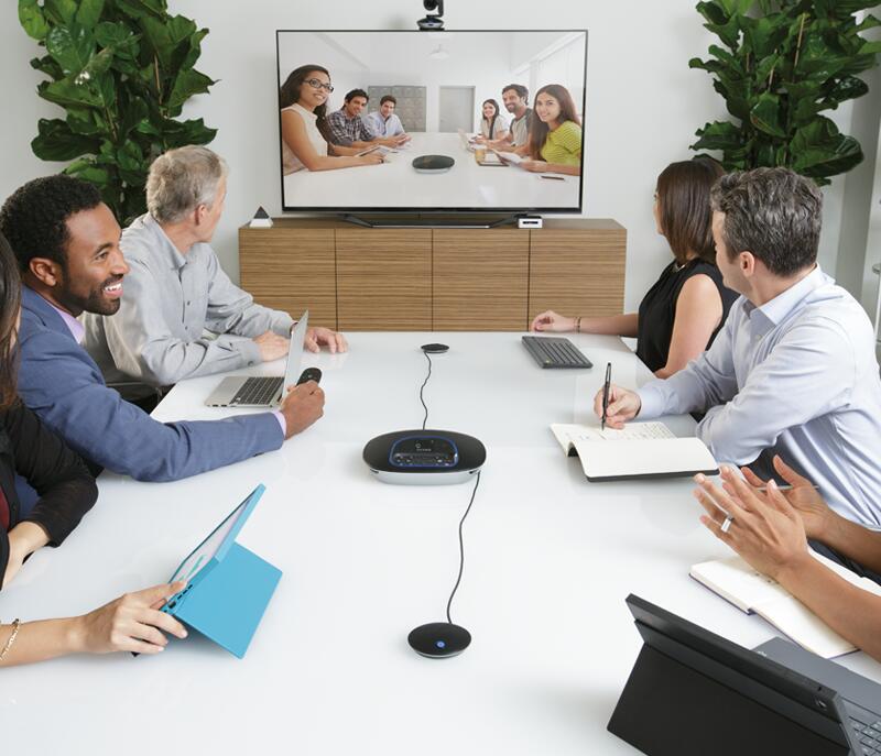 Logitech GROUP Expansion Mikrofone
