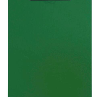 PAGNA Klemmbrett 24009-03 DIN A4 - grün