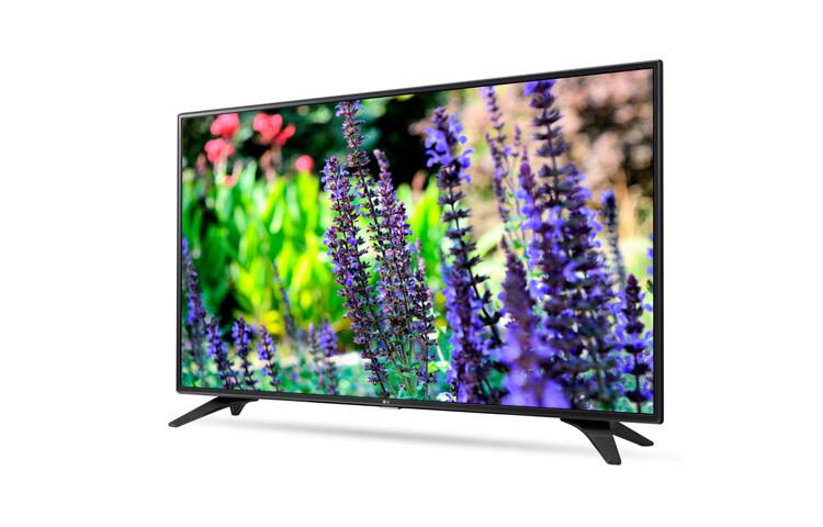 LG Hospitality Display 43LW340C LED-TV 109 cm (43") schwarz