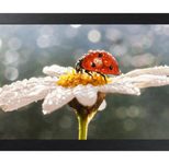 Samsung Smart Signage DB10E-TPOE LED-Display 25,7 cm (10,1") schwarz (LH10DBEPPBB/EN)