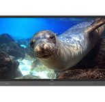 BenQ Digital Signage RP860K LED-Touch-Display 218,44 cm (86") schwarz/metal (9H.F3VTC.DE1)