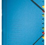 LEITZ Ordnungsmappe 3912 12 Fächer - blau