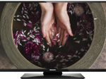 Philips Hospitality Display Studio 22HFL2869P Hotel-TV 55 cm (22") schwarz