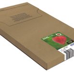 Epson Original Easy Mail Packing 29XL Erdbeere - 4er Multipack (C13T29964511)