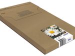 Epson Original Easy Mail Packing 18 Gänseblümchen Druckerpatronen 4 erMultipack BK/C/M/Y (C13T18164511)