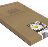 Epson Original Easy Mail Packing 18 Gänseblümchen Druckerpatronen 4 erMultipack BK/C/M/Y (C13T18164511)