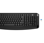 HP 300 Wireless Tastatur-und-Maus-Set schwarz