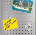 blomus Magnettafel gelocht 50,0 x 60,0 cm silber