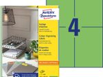 AVERY Zweckform Etiketten 3458 grün 105,0 x 148,0 mm