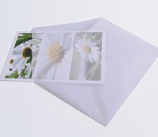 SIGEL Briefumschläge DIN C5 ohne Fenster nassklebend