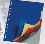 DURABLE Ordnerregister Vollformat 1-31 DIN A4