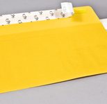 tecno Briefumschläge DIN lang+ mit Fenster haftklebend