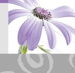 SIGEL Grußkarten Emotion DIN A6