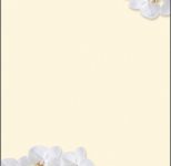 SIGEL White Orchid Motivpapier DIN A4 90 g/m²