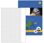 Staufen® Schulhefte kariert DIN A4 16 Blätter