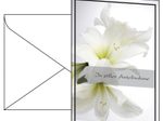 SIGEL Trauerkarten weiße Amaryllis DIN A6