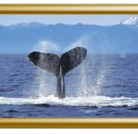 Showdown® Displays Klapprahmen 32,8 x 45,1 cm gold